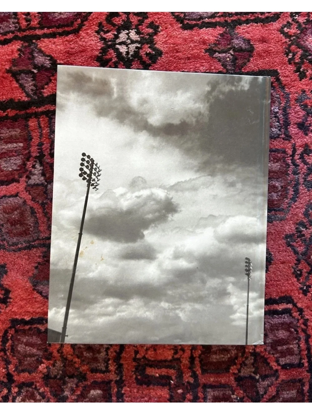 Annie Leibovitz Olympic Portraits 1996 First Edition Hardcover Photography